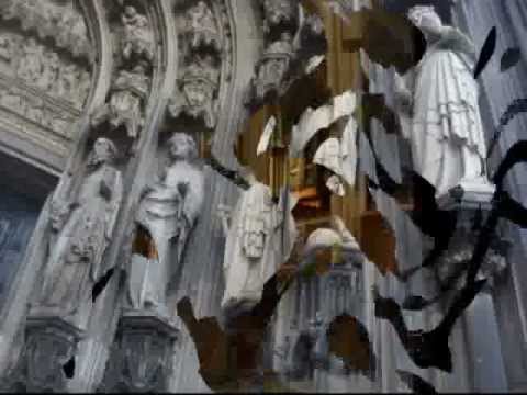 Keln. Dijana Stevanović