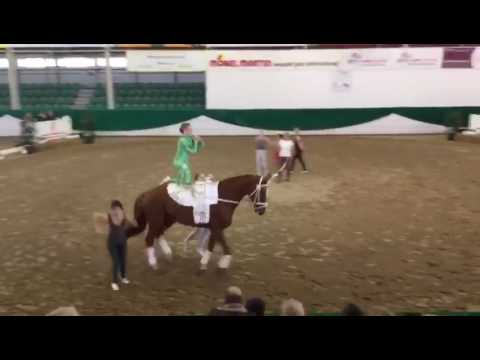 VZ Meerbusch - German M Team Cup 2016 - Freestyle 2