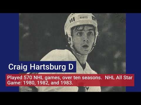 The Baby Bulls of Birmingham in the WHA 1978-79