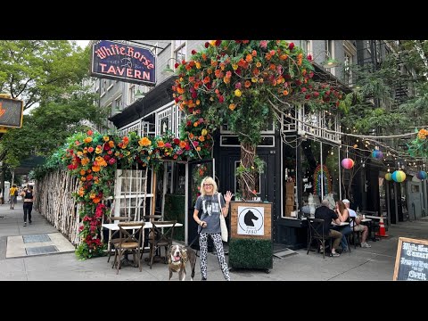 LIVE Bob Dylan New York City Walking Tour w/Hudson the Dog June 11, 2023