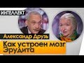 Александр Друзь. Татьяна Черниговская. Как устроен мозг Эрудита