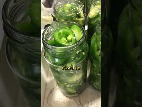 How to make pickles taste good for beginners in 2024 #cooking #diy #homesteading