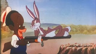 Bugs bunny All this and rabbit stew racist cartoon