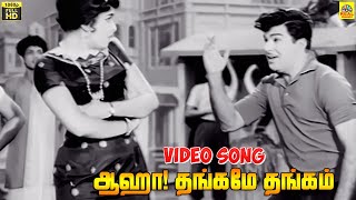 Download lagu Thangame Thangam -Video Song | Anbu Vazhi 1968 | Jai Shankar | Vijayalakshmi | M S Viswanthan mp3