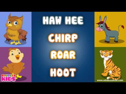 The Animal Sounds Song    Sounds of the Animals Song