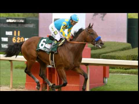 American Pharoah Wins First Triple Crown Since 1978
