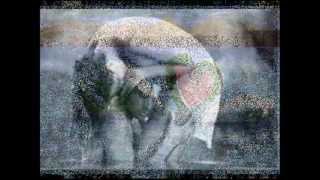 Antonello Venditti - Forever (Testo)