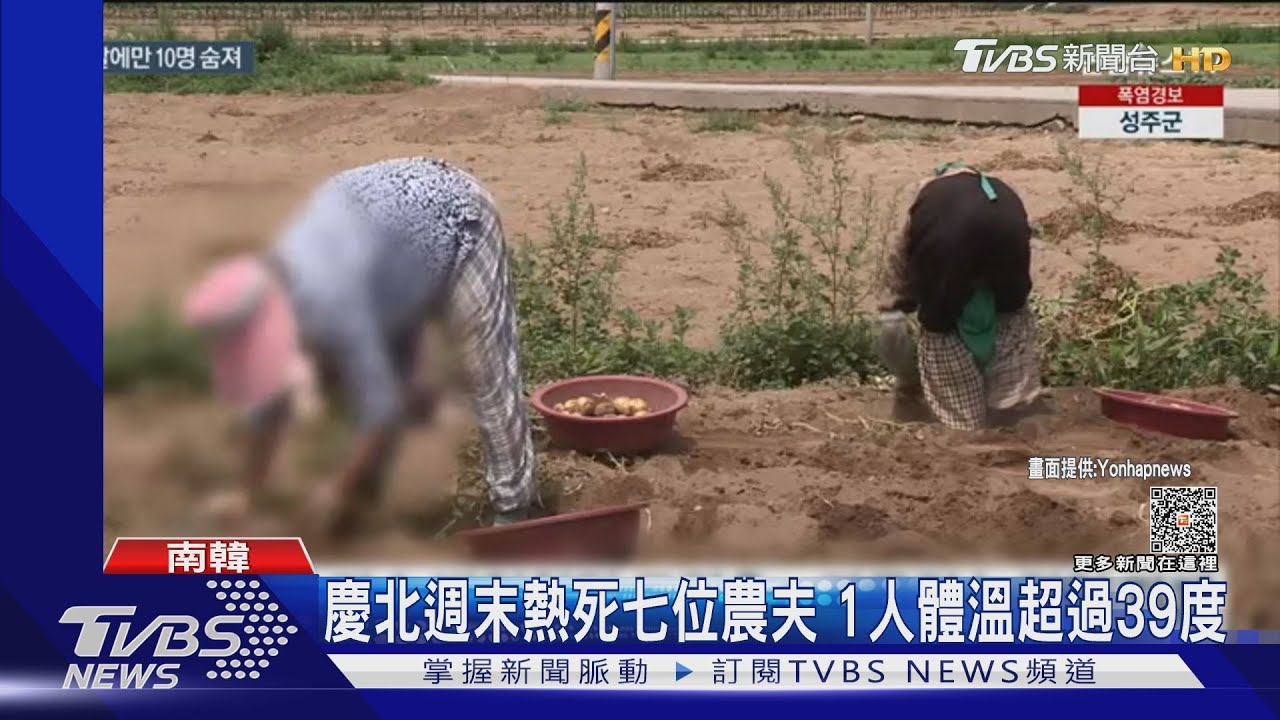 韓熱死人數比去年同期多一倍! 南極消失72個台灣大的海冰