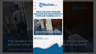 Sempat Mengendap endap Beberapa kali, Viral Maling Pakaian Dalam di Bantul Terekam CCTV