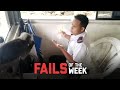 Monkey Steals From Security Guard - Fails of the Week