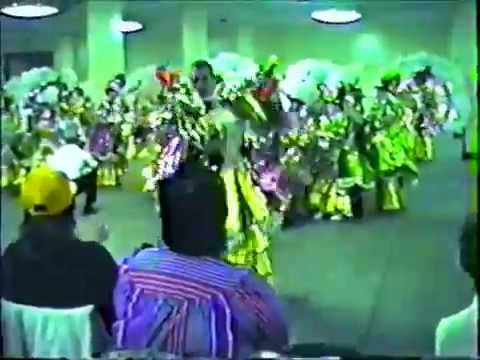 Durning String Band - 1987 Show Of Shows