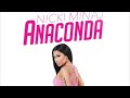 Nicki Minaj- Anaconda Clean Wireless Festival Version (audio) 2022