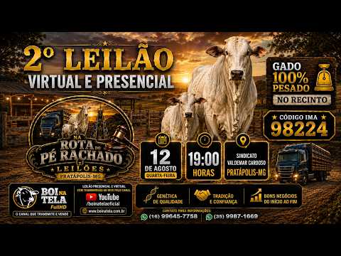 2º leilao Na Rota do Pé Rachado Pratápolis - MG / 12.08.2026 / Transmissão ao vivo Boi Na Tela