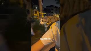 Download lagu Baling baling bambu doraemon #trending #cat #balingbalingbambu #doraemon mp3