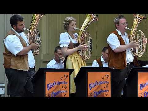 Blaskapelle Charivari Vorstellungsvideo für das SWR4 Blechduell
