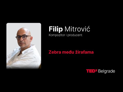 Zebra među žirafama ||||| A Zebra Among Giraffes  | Filip Mitrović | TEDxBelgrade