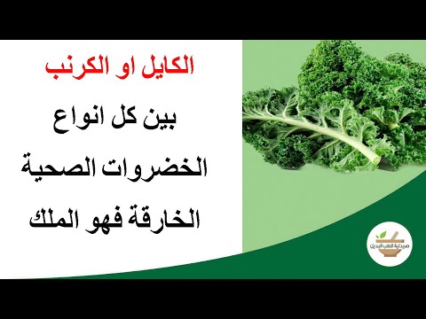 , title : 'الكايل او الكرنب واحد من أكثر الأطعمة النباتية صحة وتغذية على وجه كوكب الأرض'