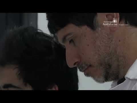 Sistema de certificación de calidad y propiedades bioactivas de la miel chilena
