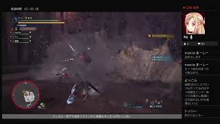 参加自由でＨＲ９９９目指す！よく使う装備紹介♪