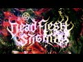 DEAD FLESH STIGMA "Worms and Eyes, Eyes as Worms" PREVIEW SONG