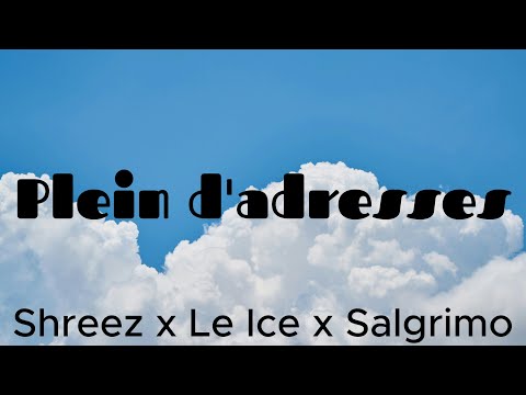 Shreez x Le Ice x Salgrimo - Plein d'adresses (lyrics)