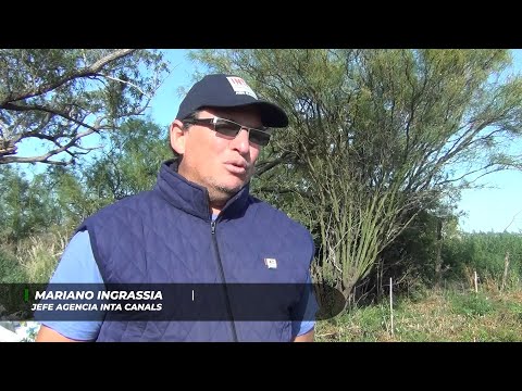 Los profesionales del agro - 2a temporada - N° 4 - Proyecto de bosque sintrópico en Benjamín Gould.