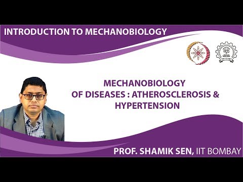 Mechanobiology of Diseases : Atherosclerosis & Hypertension