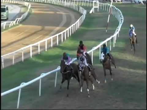 BTC RACE DAY 2 FEB 2019 - RACE 8