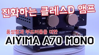 AIYIMA A70 MONO (해외구매)_동영상_이미지
