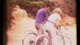 Lagarto Amarillo "CUENTAME"