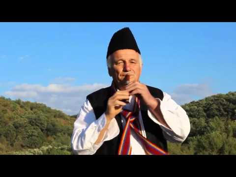 Brestovacko kolo  Vitomir stanojevic