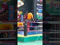 Orangutan Boxing Training In Thailand Please Read Description