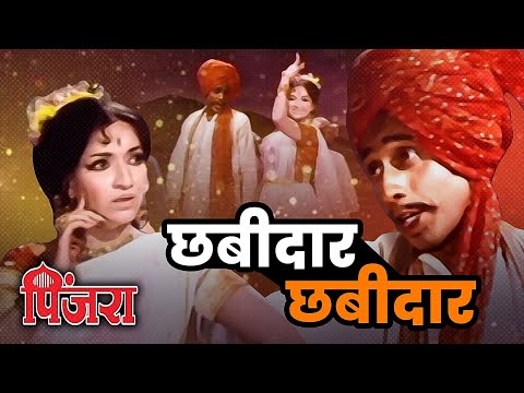 छबीदार छबीदार | Pinjra | Sandhya | Super Hit Marathi Movie Song | SuperHit Marathi Movie Song