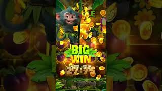 😲 Can’t believe this just happened on “Fortune Jungle” Slot ! 🎉🔥#BigWin #YN777 #Slots