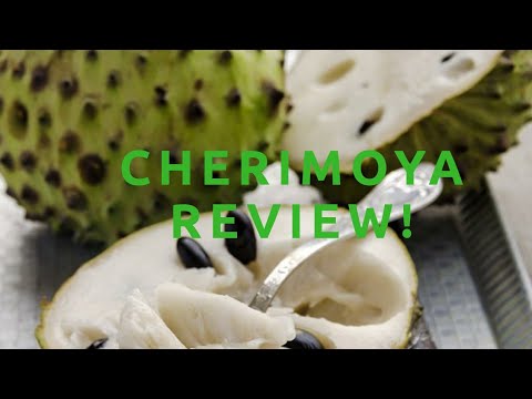 Cherimoya Review!