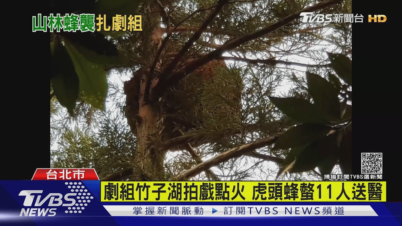 劇組竹子湖拍戲點火 虎頭蜂螫11人送醫