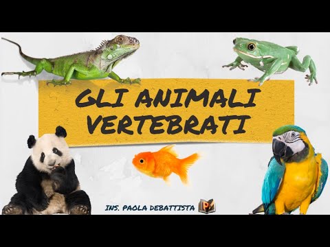 Gli animali vertebrati