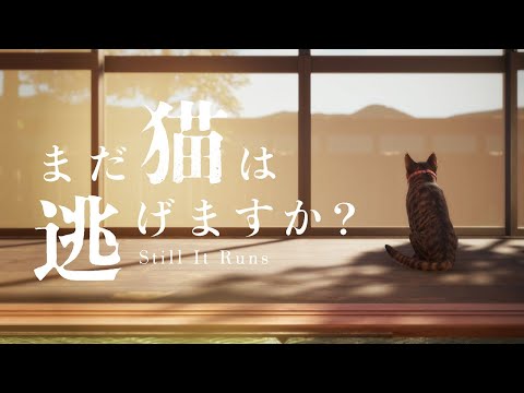 【まだ猫は逃げますか？】 ※猫はひどい目にあいません