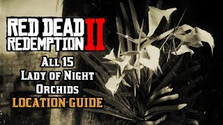 All 15 Lady of the Night Orchids  - Location Guide | Red Dead Redemption 2