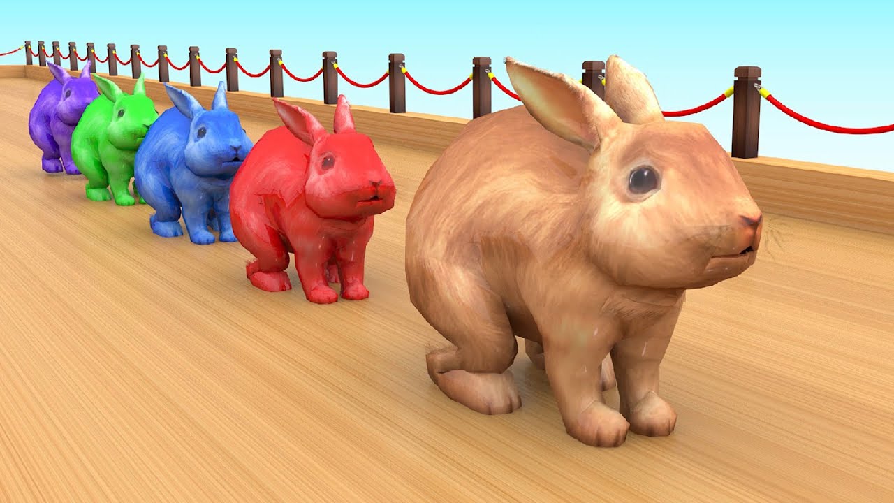 Belajar warna dengan binatang lucu | Belajar Mengenal Hewan Hewan Peternakan Untuk Anak-Anak # 3