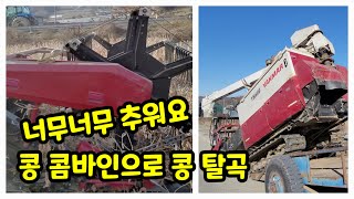 콩 콩바인으로 한겨울에 콩 탈곡 즉 수확 아니면 턴다 등 용어는 다양