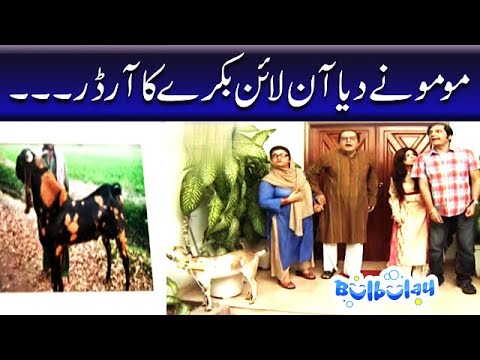 Bulbulay | Momo | Mehmood Sahab | Nabeel Khoobsurat
