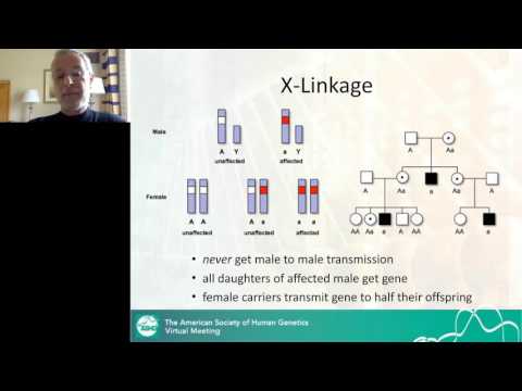 Bruce Korf - From History to Action