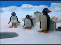 Pingu At School Pingu Official Channel