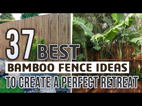 37 Best Bamboo Fence Ideas To Create A Perfect Retreat