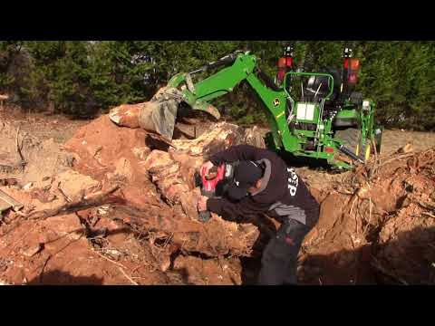 image-How can I make my pine tree stump rot faster?