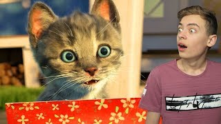 ПРИКЛЮЧЕНИЕ МАЛЕНЬКОГО КОТЕНКА КОСТЮМНАЯ ВЕЧЕРИНКА В ИГРЕ ДЛЯ ДЕТЕЙ НА КАНАЛЕ GAMES FACTORY