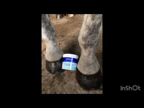 Slide 2 - Keratex Coconut Oil Hoof Balm Clear 400g  (video)