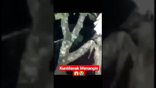 Download lagu Tangisan Kuntilanak 😱😭#shorts mp3 Download lagu Tangisan Kuntilanak 😱😭#shorts mp3