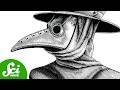 The Deadliest Stuff On Earth Compilation